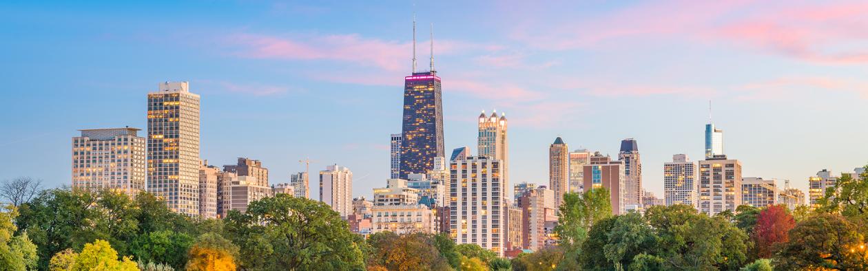 Chicago Skyline