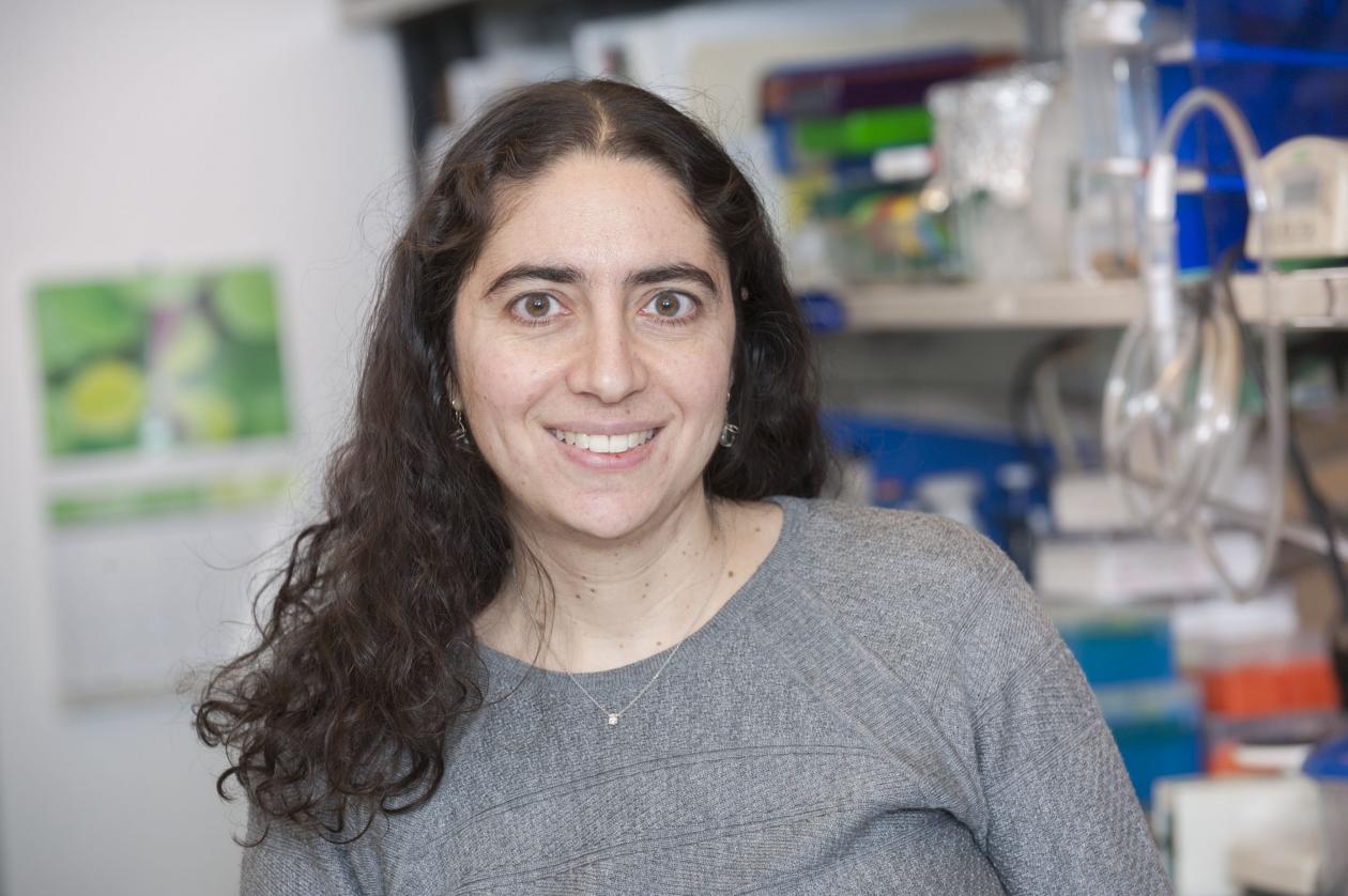 Dr. Yaeger in her laboratory, pictured smiling facing forward at camera