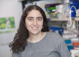 Dr. Yaeger in her laboratory, pictured smiling facing forward at camera