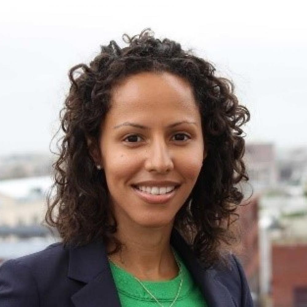Headshot of Dr. Handy Marshall smiling. City skyline in background. Wearing light green blouse with navy blue blazer. Brown, curly hair.
